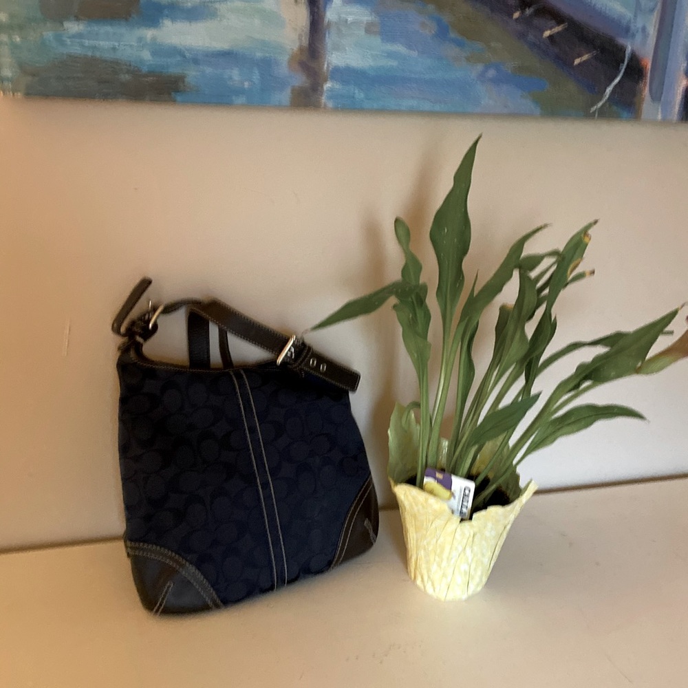 Coach purse